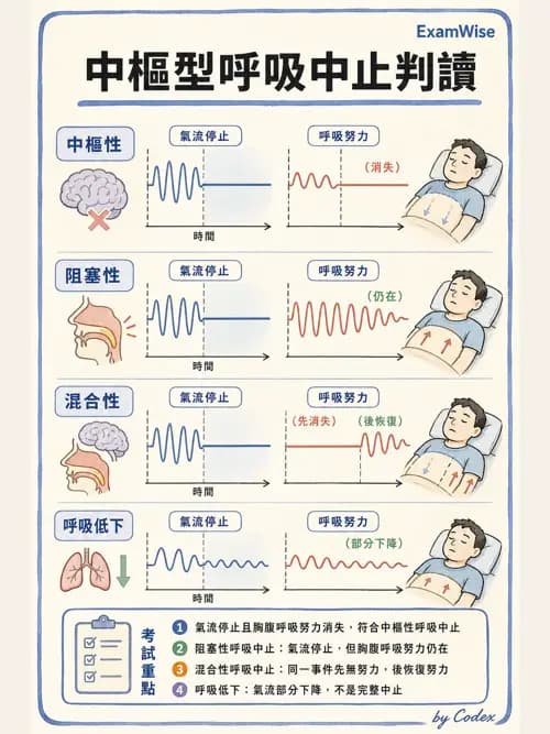 呼吸治療師 - 睡眠相關呼吸障礙 - AI 圖文解析預覽
