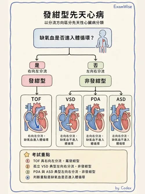 呼吸治療師 - 兒童呼吸系統疾病 - AI 圖文解析預覽