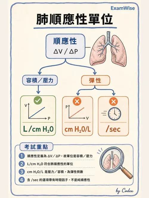 呼吸治療師 - 通氣、呼吸力學與控制 - AI 圖文解析預覽