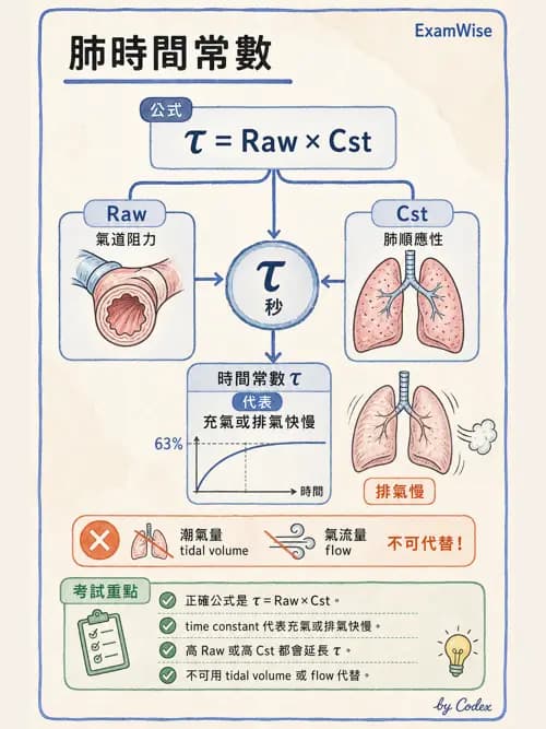 呼吸治療師 - 通氣、呼吸力學與控制 - AI 圖文解析預覽
