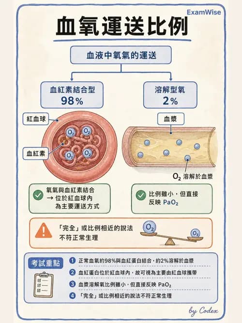 呼吸治療師 - 氣體擴散、交換與肺部代謝 - AI 圖文解析預覽