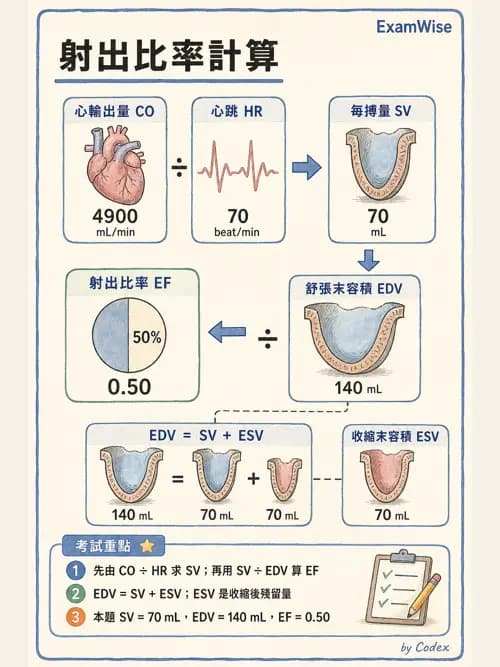 呼吸治療師 - 心臟生理與血液動力學 - AI 圖文解析預覽