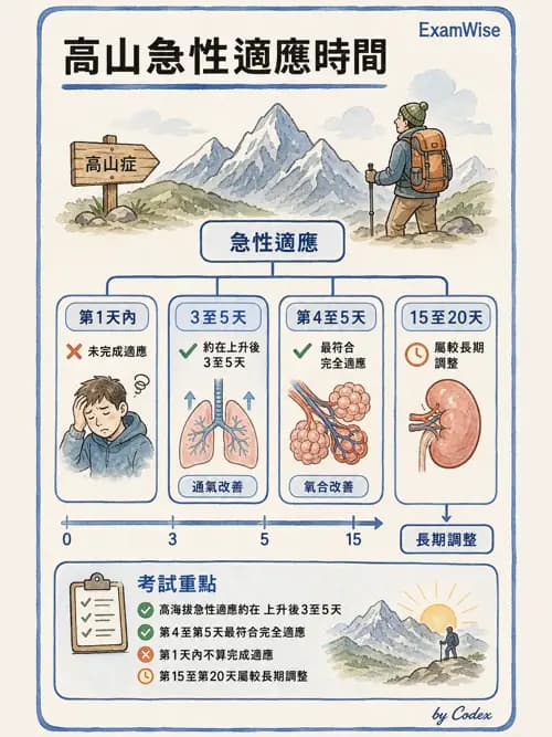 呼吸治療師 - 運動與環境生理 - AI 圖文解析預覽