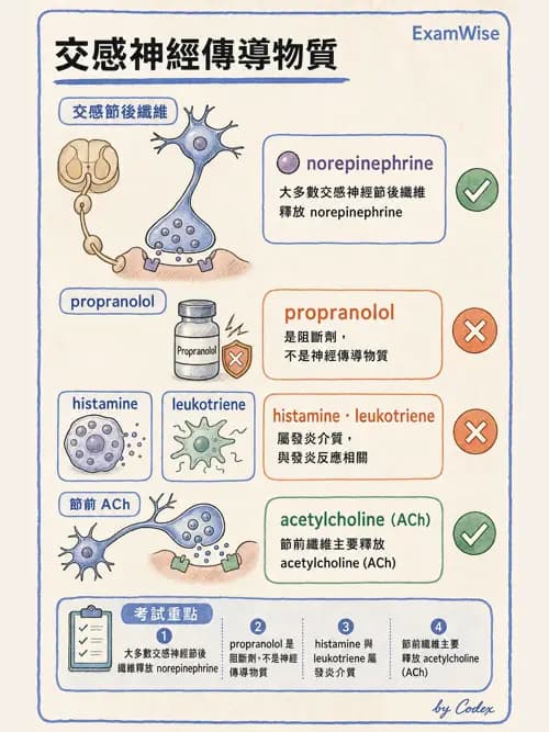呼吸治療師 - 神經系統藥物 - AI 圖文解析預覽