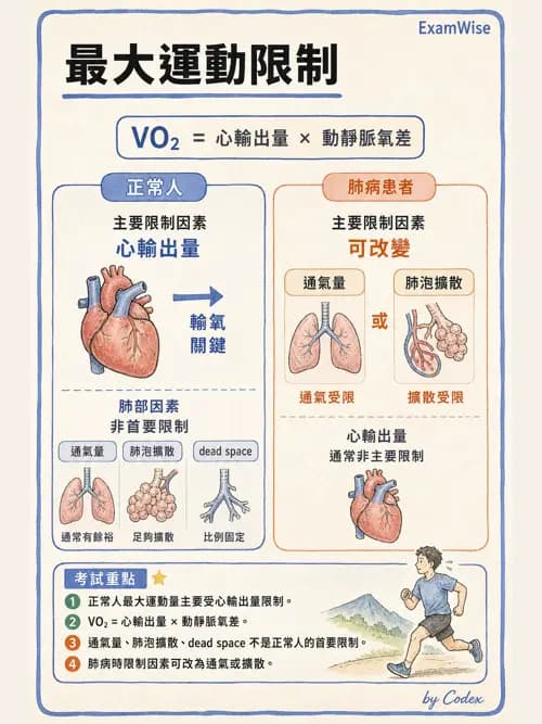 呼吸治療師 - 運動與環境生理 - AI 圖文解析預覽
