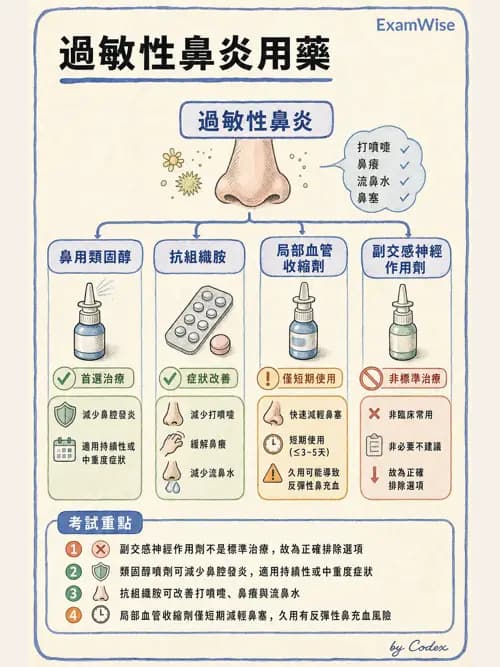 呼吸治療師 - 呼吸系統藥物 - AI 圖文解析預覽