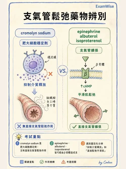 呼吸治療師 - 呼吸系統藥物 - AI 圖文解析預覽