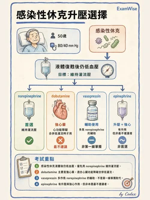 呼吸治療師 - 心臟血管藥物 - AI 圖文解析預覽