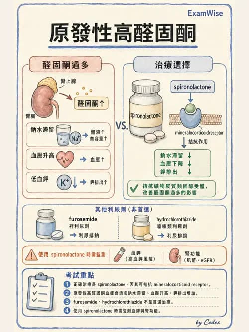 呼吸治療師 - 心臟血管藥物 - AI 圖文解析預覽