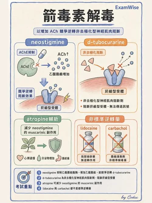 呼吸治療師 - 神經系統藥物 - AI 圖文解析預覽