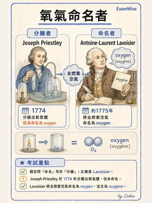 呼吸治療師 - 呼吸治療演進與角色 - AI 圖文解析預覽