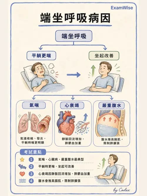 呼吸治療師 - 呼吸治療臨床作業與身體評估 - AI 圖文解析預覽