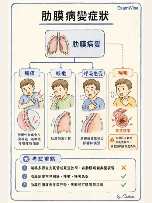 呼吸治療師 - 呼吸治療臨床作業與身體評估 - AI 圖文解析預覽