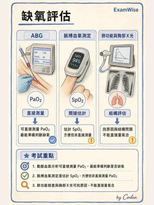 呼吸治療師 - 動脈血液氣體分析與氧合評估 - AI 圖文解析預覽