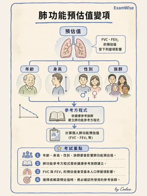 呼吸治療師 - 呼吸功能檢查 - AI 圖文解析預覽