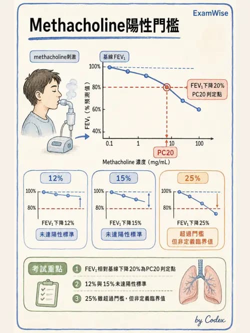 呼吸治療師 - 呼吸功能檢查 - AI 圖文解析預覽