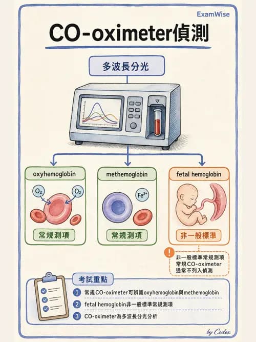 呼吸治療師 - 動脈血液氣體分析與氧合評估 - AI 圖文解析預覽