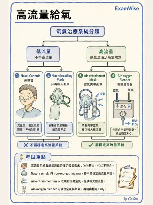 呼吸治療師 - 氣體輸送系統與氧氣治療 - AI 圖文解析預覽
