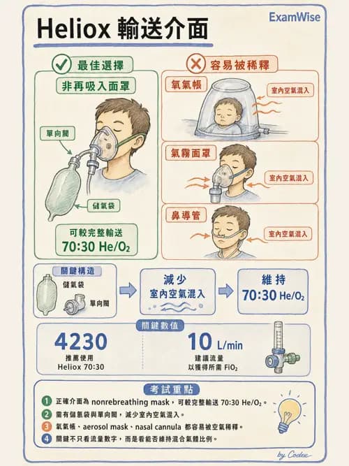呼吸治療師 - 氣體輸送系統與氧氣治療 - AI 圖文解析預覽