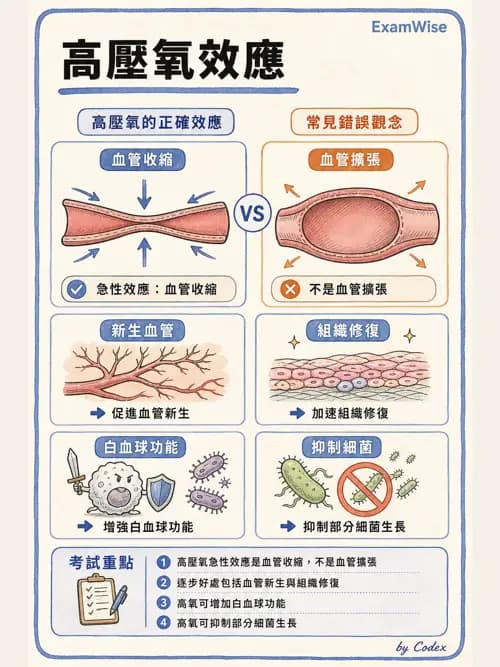 呼吸治療師 - 高壓氧治療 - AI 圖文解析預覽