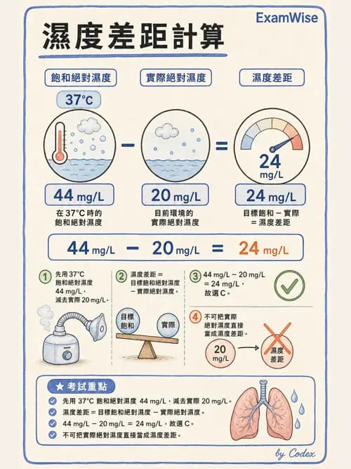 呼吸治療師 - 濕氣與霧氣治療 - AI 圖文解析預覽