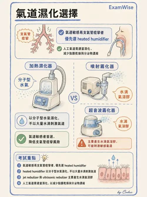 呼吸治療師 - 濕氣與霧氣治療 - AI 圖文解析預覽