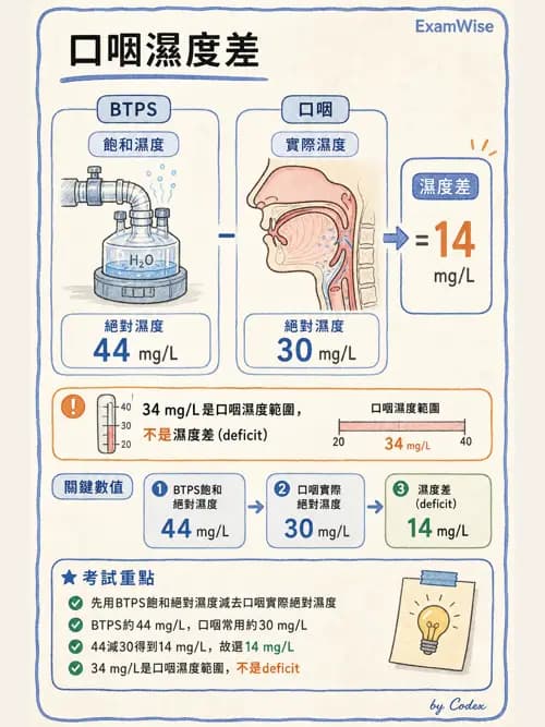 呼吸治療師 - 濕氣與霧氣治療 - AI 圖文解析預覽