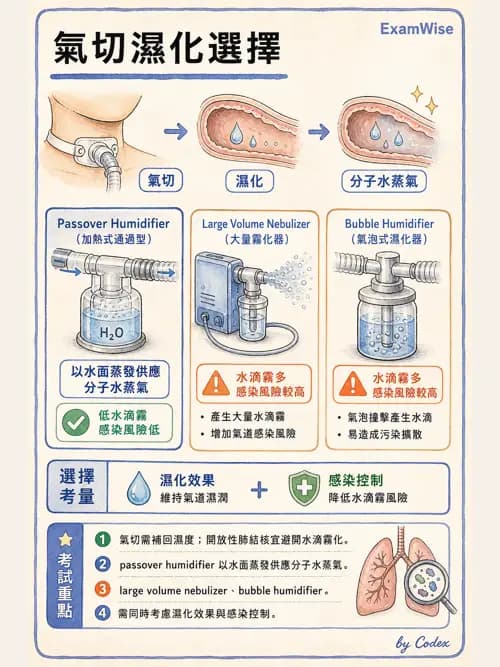 呼吸治療師 - 濕氣與霧氣治療 - AI 圖文解析預覽