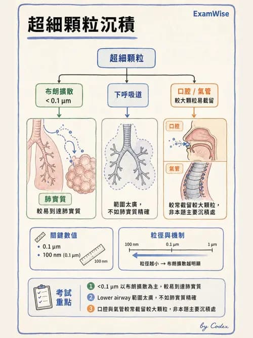 呼吸治療師 - 濕氣與霧氣治療 - AI 圖文解析預覽