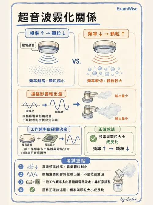 呼吸治療師 - 濕氣與霧氣治療 - AI 圖文解析預覽