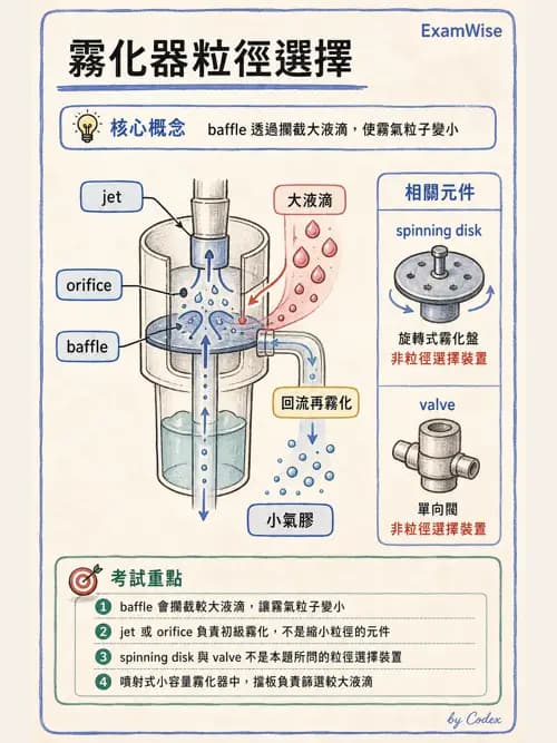 呼吸治療師 - 濕氣與霧氣治療 - AI 圖文解析預覽