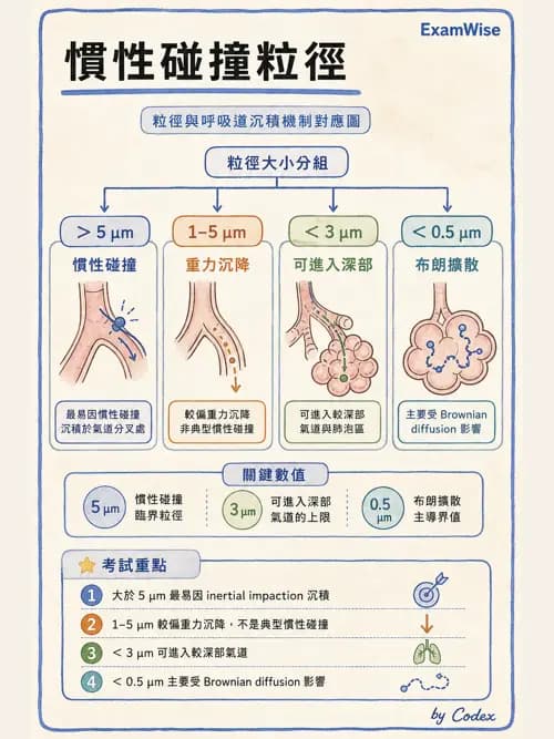 呼吸治療師 - 濕氣與霧氣治療 - AI 圖文解析預覽