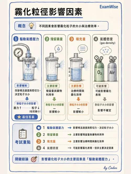 呼吸治療師 - 濕氣與霧氣治療 - AI 圖文解析預覽