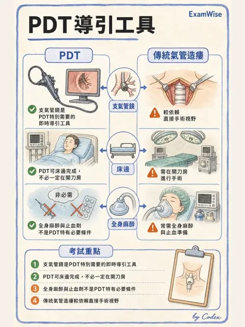 呼吸治療師 - 人工氣道處置 - AI 圖文解析預覽