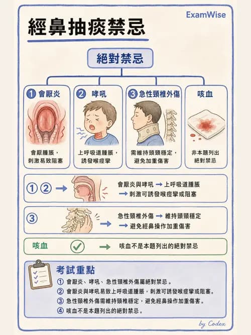 呼吸治療師 - 痰液清除與擴張治療 - AI 圖文解析預覽
