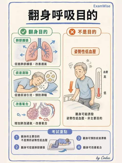 呼吸治療師 - 痰液清除與擴張治療 - AI 圖文解析預覽