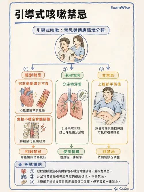 呼吸治療師 - 痰液清除與擴張治療 - AI 圖文解析預覽