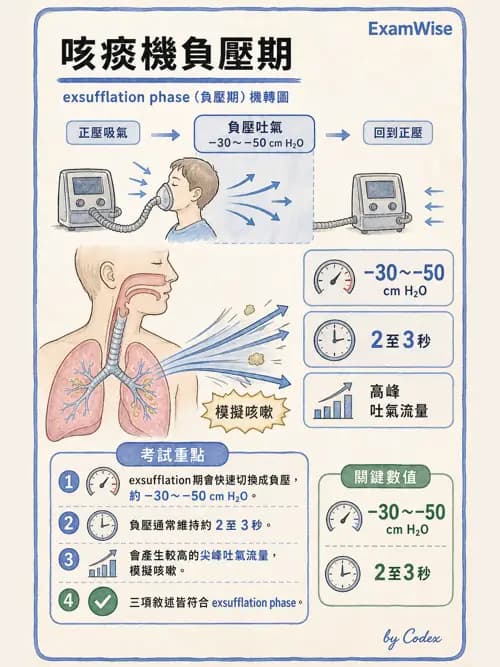 呼吸治療師 - 痰液清除與擴張治療 - AI 圖文解析預覽