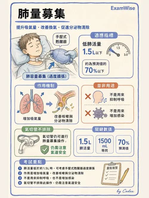呼吸治療師 - 長期呼吸照護 - AI 圖文解析預覽