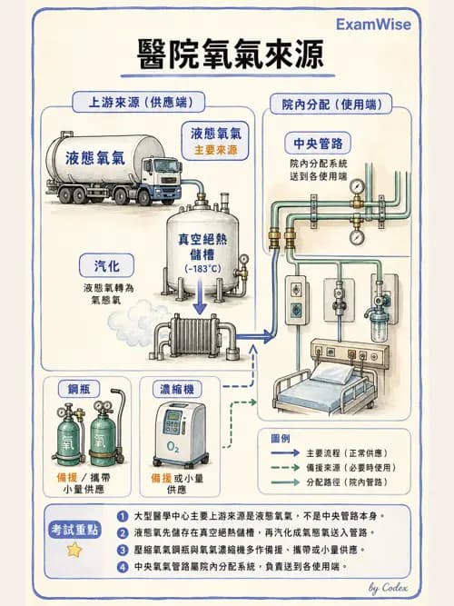 呼吸治療師 - 氣體輸送系統與氧氣治療 - AI 圖文解析預覽