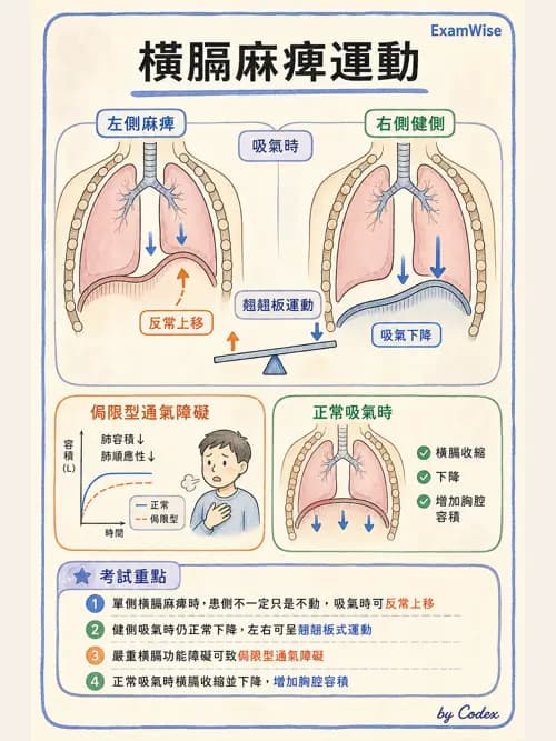 呼吸治療師 - 呼吸治療臨床作業與身體評估 - AI 圖文解析預覽