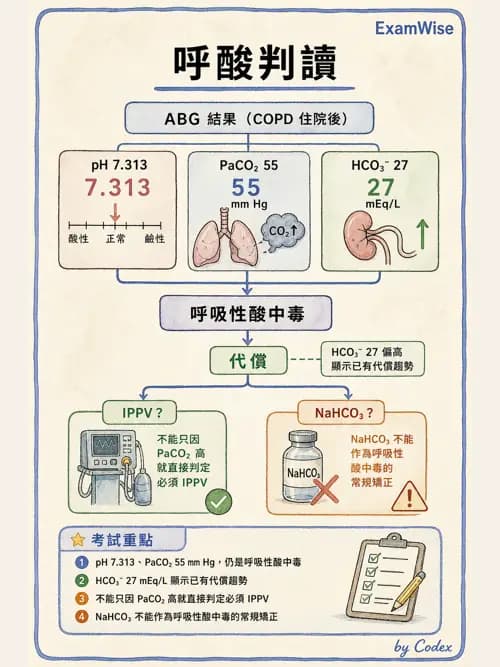 呼吸治療師 - 動脈血液氣體分析與氧合評估 - AI 圖文解析預覽