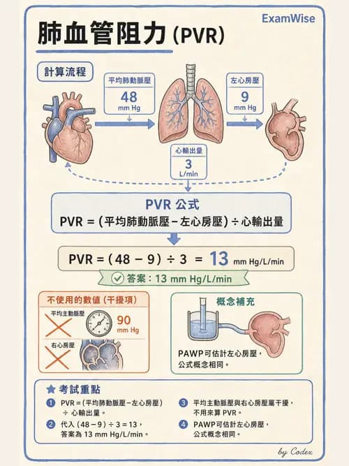 呼吸治療師 - 心血管評估與實驗室檢查 - AI 圖文解析預覽