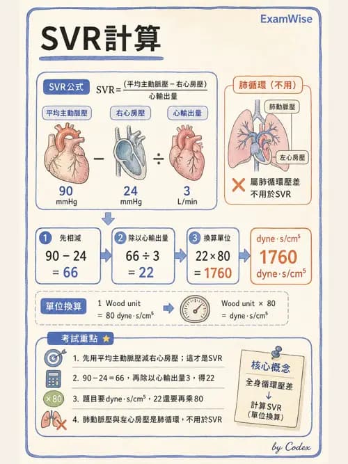 呼吸治療師 - 心血管評估與實驗室檢查 - AI 圖文解析預覽