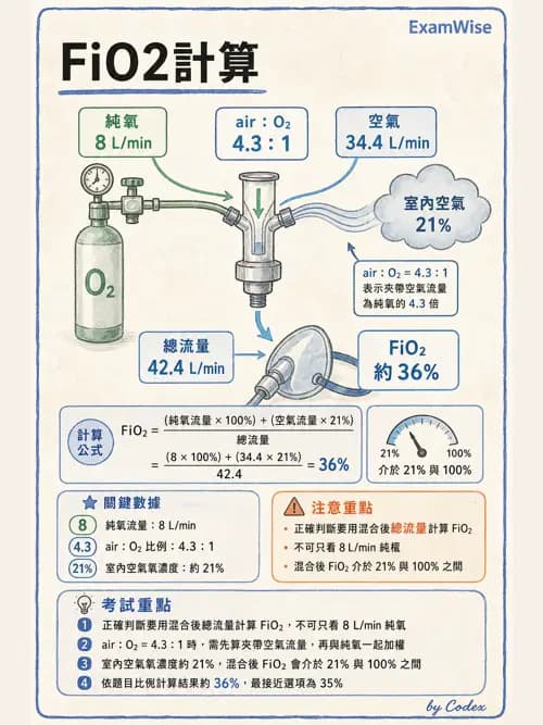 呼吸治療師 - 醫療氣體製造與儲存 - AI 圖文解析預覽