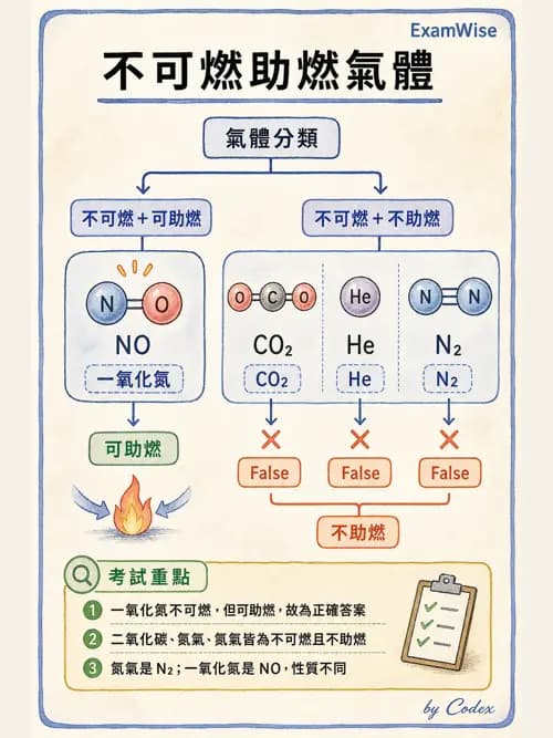 呼吸治療師 - 醫療氣體製造與儲存 - AI 圖文解析預覽