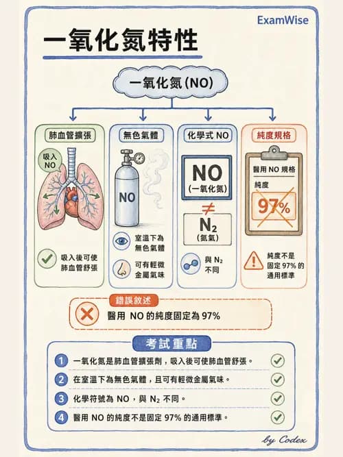 呼吸治療師 - 醫療氣體製造與儲存 - AI 圖文解析預覽