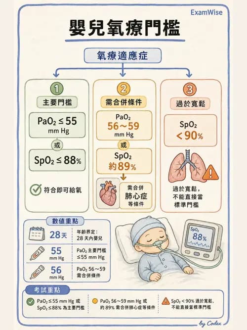 呼吸治療師 - 醫療氣體製造與儲存 - AI 圖文解析預覽
