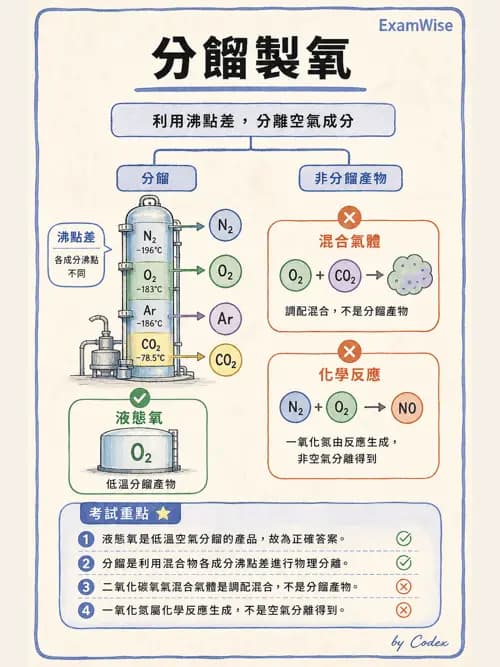 呼吸治療師 - 醫療氣體製造與儲存 - AI 圖文解析預覽