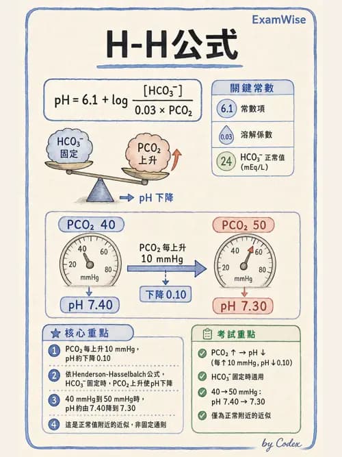 呼吸治療師 - 動脈血氣體分析設備 - AI 圖文解析預覽